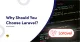 Laravel For Web Development