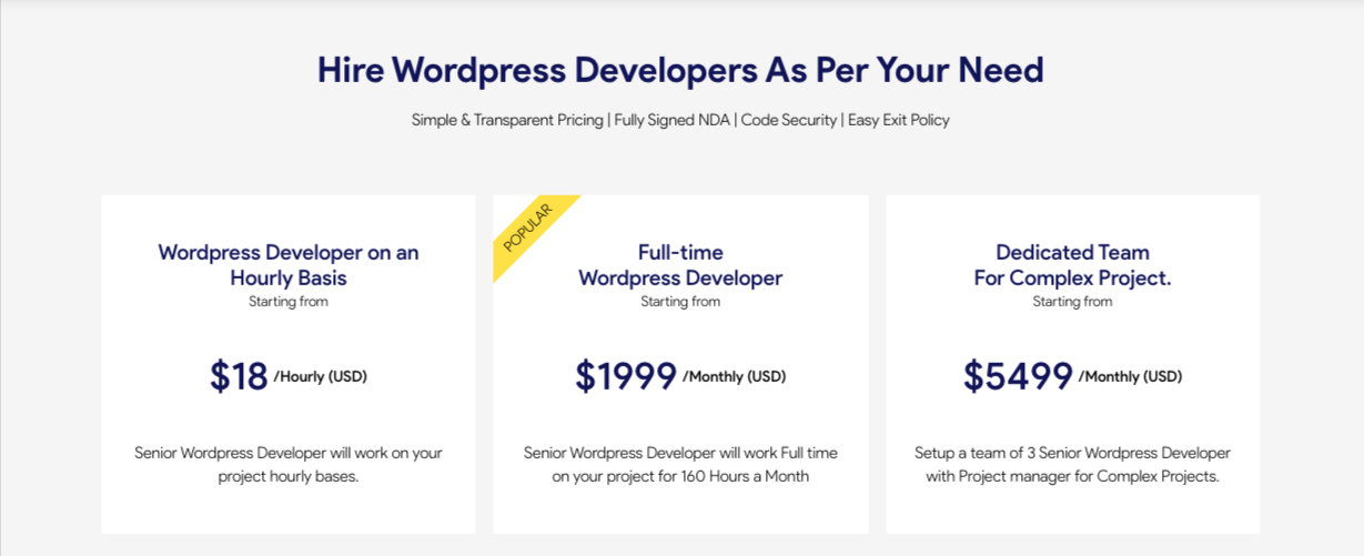 Hire WordPress Developers In India