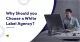 why should you choose a White Label agency