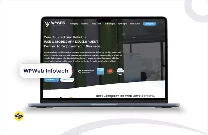 WPWeb Infotech
