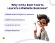 Why is the best year to launch a website business?