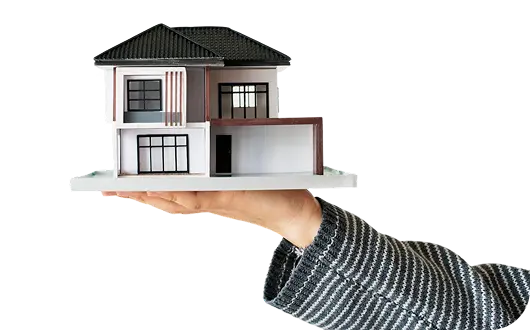 Frontend Development