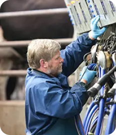 Multi-Vendor Dairy Marketplace Platform