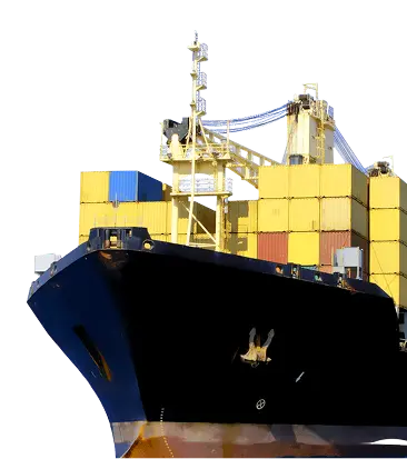 Transport & Logistic