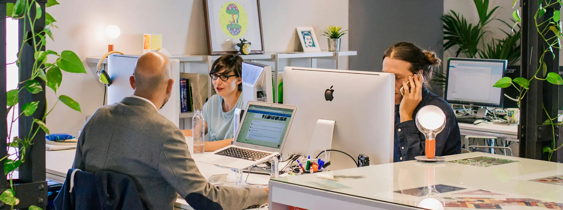 Wordpress Development