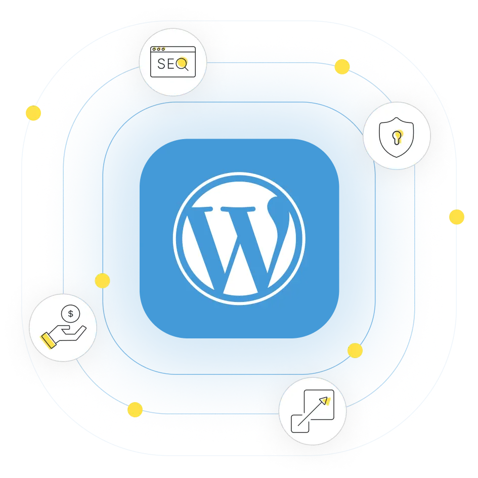 Wordpress Developer